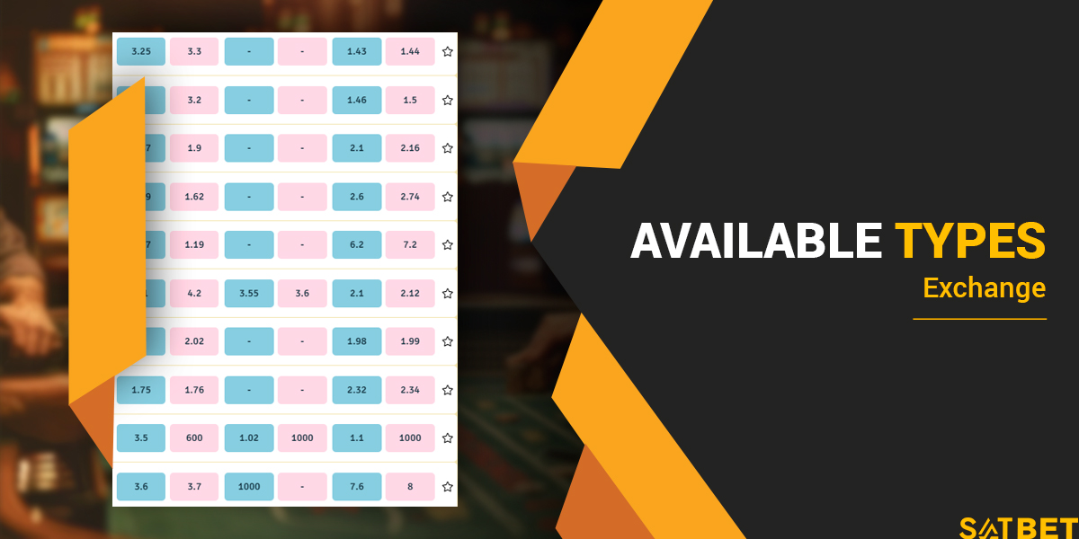 Satbet exchange bet types