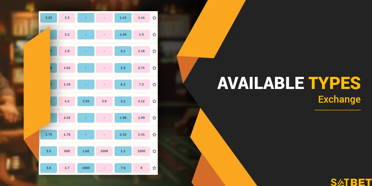 Satbet exchange bet types